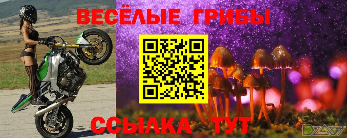 Псилоцибиновые грибы прущие грибы  Вход с VPN  Кувандык 