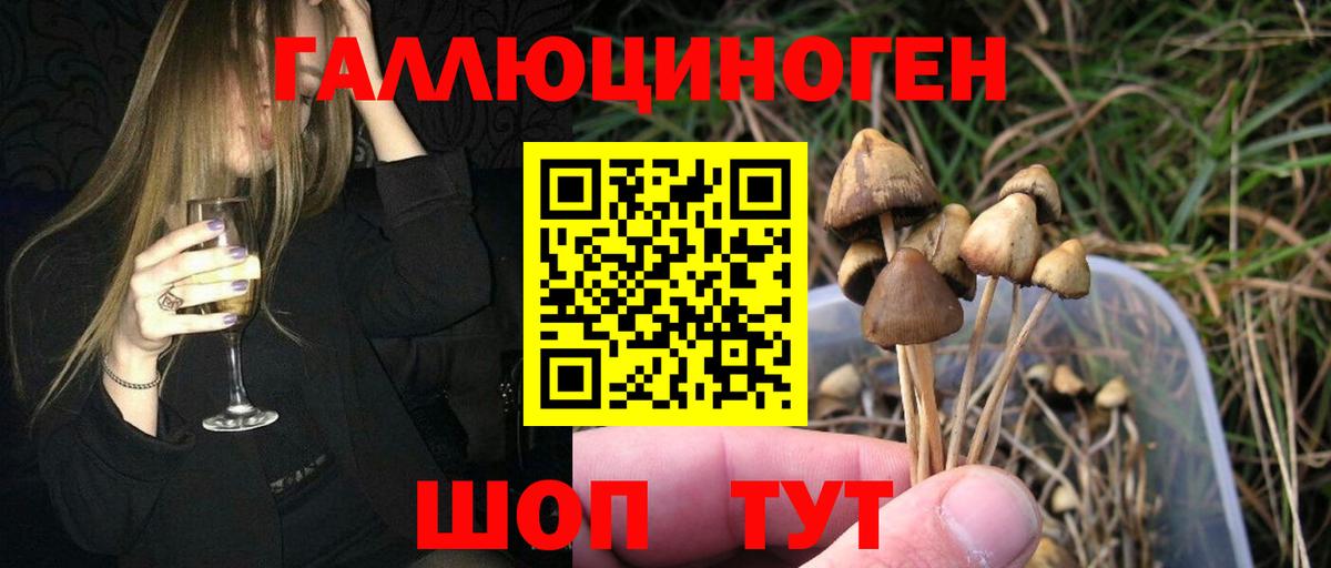 Галлюциногенные грибы прущие грибы Кувандык